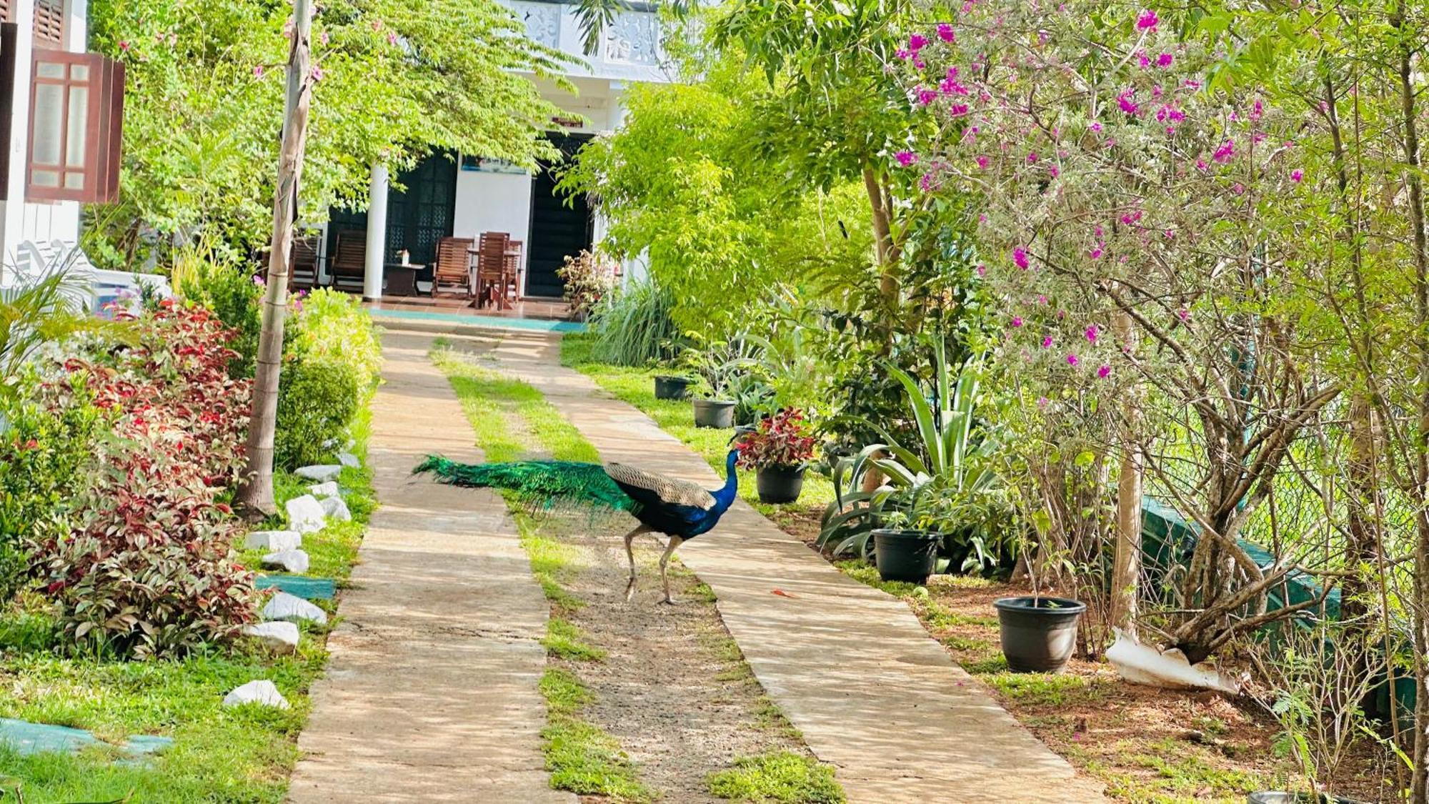 New Peacock Resort Dambulla Exterior photo
